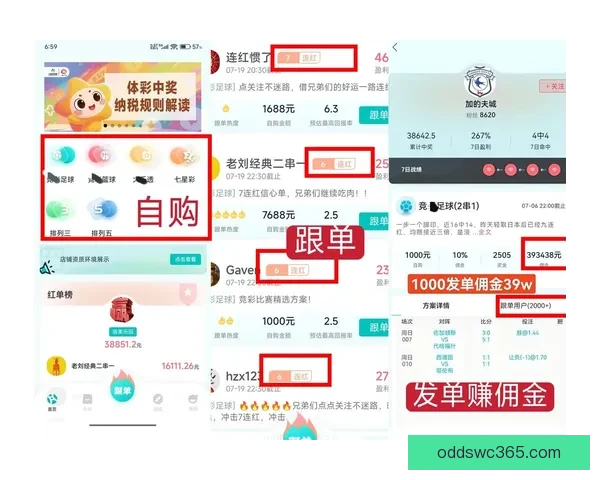 足球竞猜赔率分析全面解读助你精准预测赛果提升盈利技巧